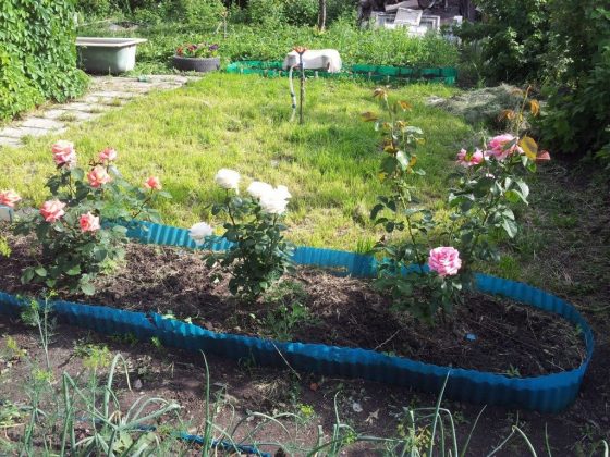 Заборчики для клумб своими руками из пластиковых бутылок 16