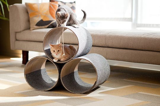 Какую игрушку сделать для кошки из бумаги