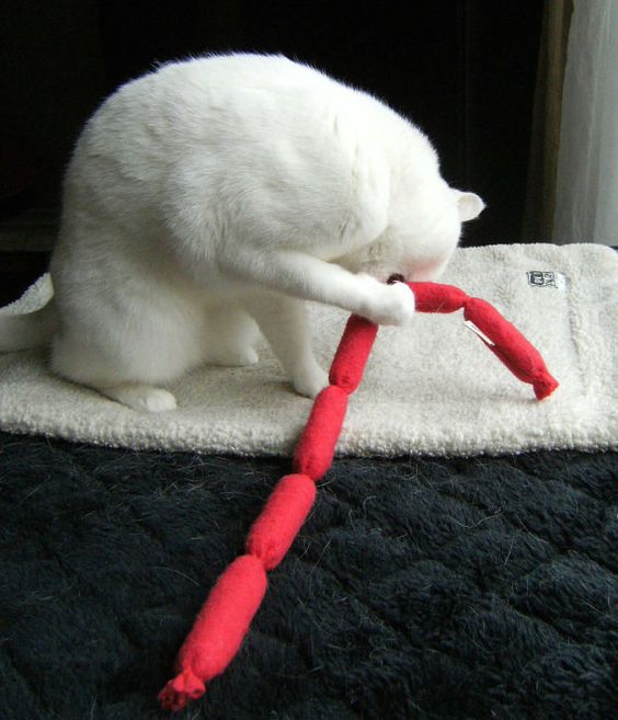 Какую игрушку можно сделать кошке своими руками