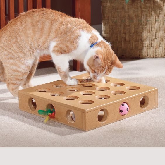 Как сделать своими руками домик и когтеточку для кошки — 7 великолепных кошкиных домов