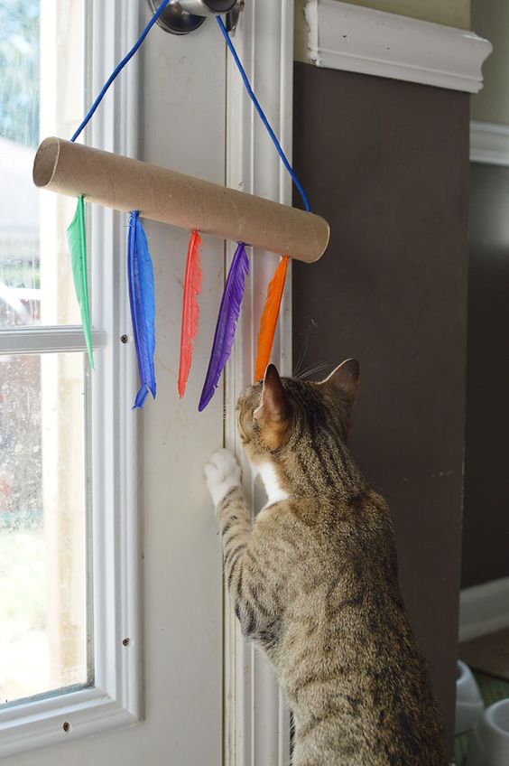 Какую игрушку сделать для кошки из бумаги