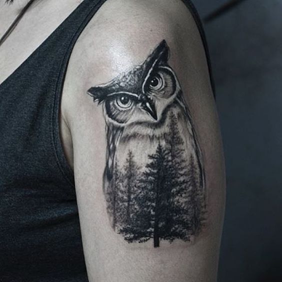 Татуировка Сова в лесу