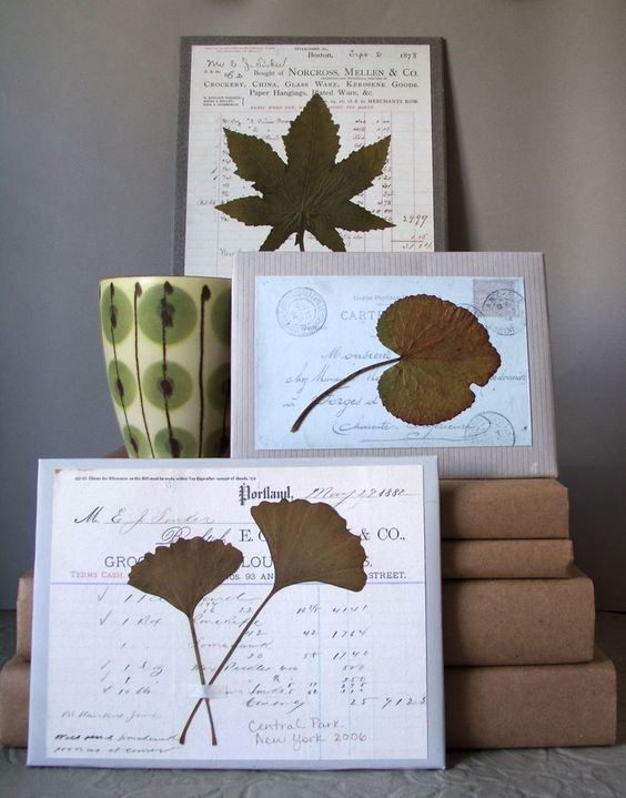 Осенний гербарий из листьев в картинках
