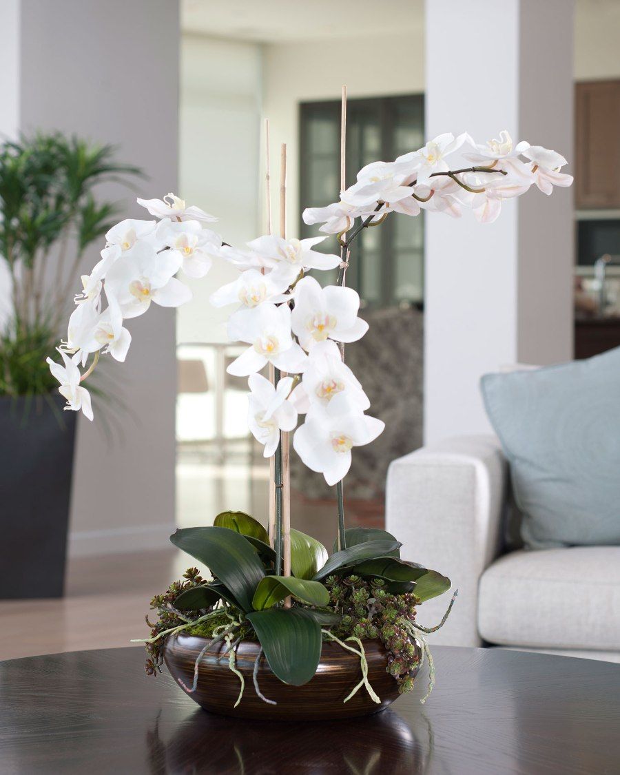 Орхидея В Горшке Дома