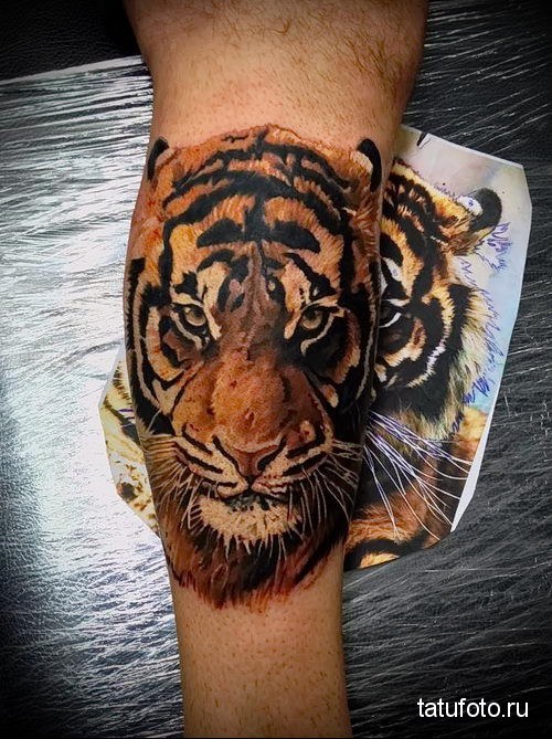 Величавый тигр на татуировке: сюжеты, эскизы, значение