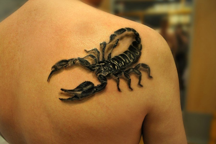 Татуировка скорпион: значение для мужчин - thebestterrier.ru