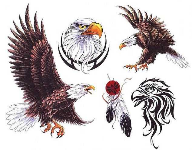 Тату “орел”: Эффектные рисунки птицы на теле