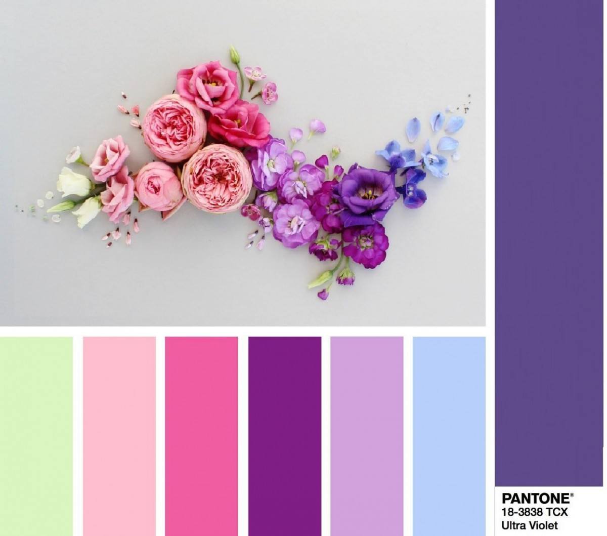 Самые модные цвета лета 2018: яркие и неповторимые оттенки от Pantone
