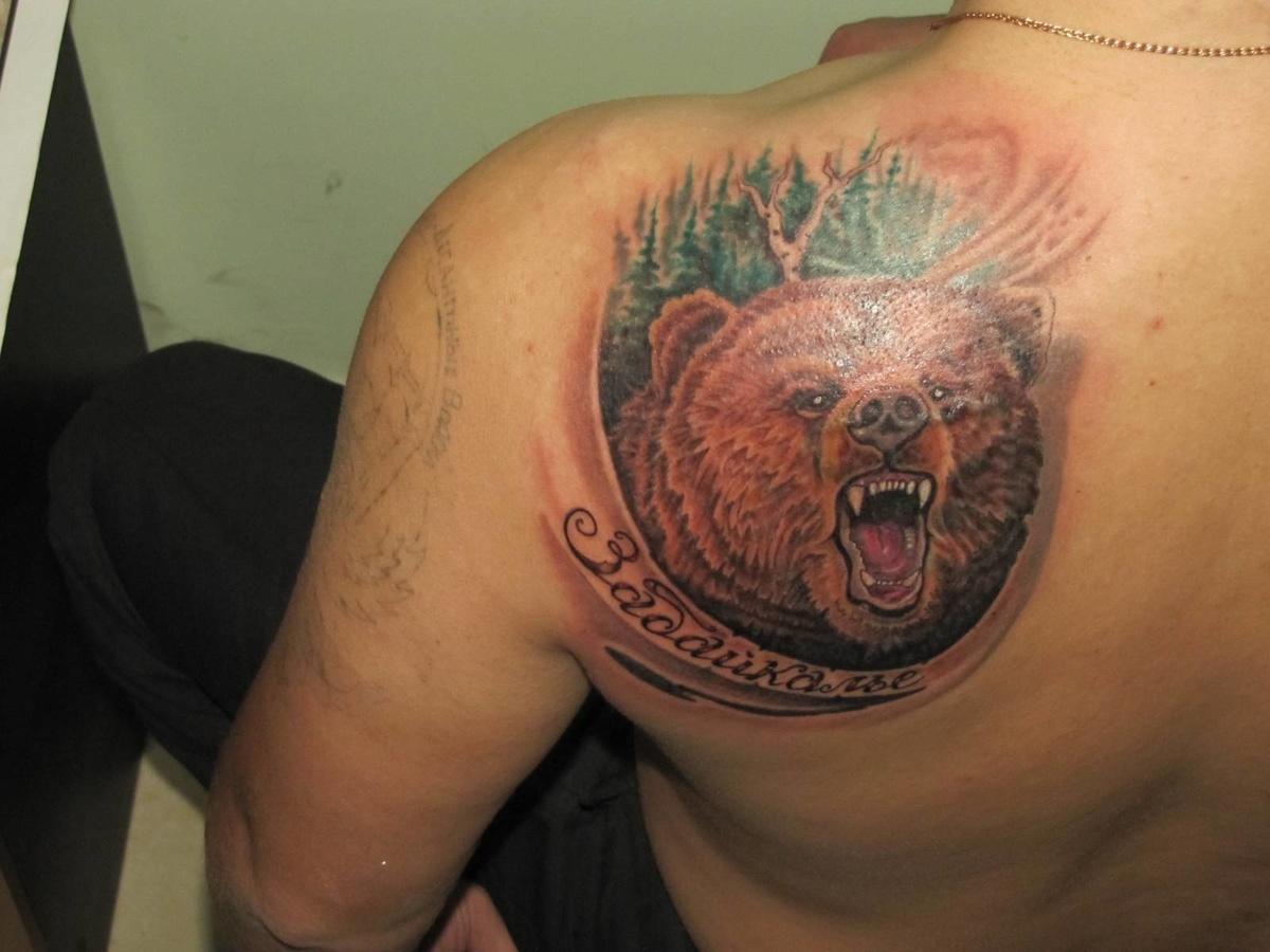 Тату медведя со спины на плечо