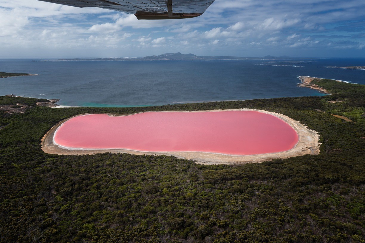 Водоем который окрашивается в нежно розовый цвет. Розовое озеро Хиллер Австралия. Озеро Хиллер (остров Миддл). Озеро Хильер в Австралии. Озеро Хиллер (hillier), Западная Австралия.