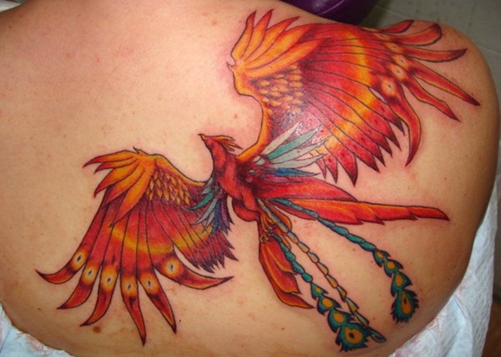 Неподражаемая птица феникс в качестве тату: значение, эскизы, женские и мужские варианты