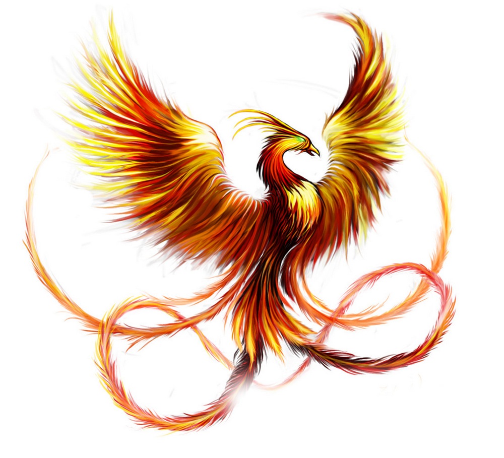 Логотип Феникс Фохоу