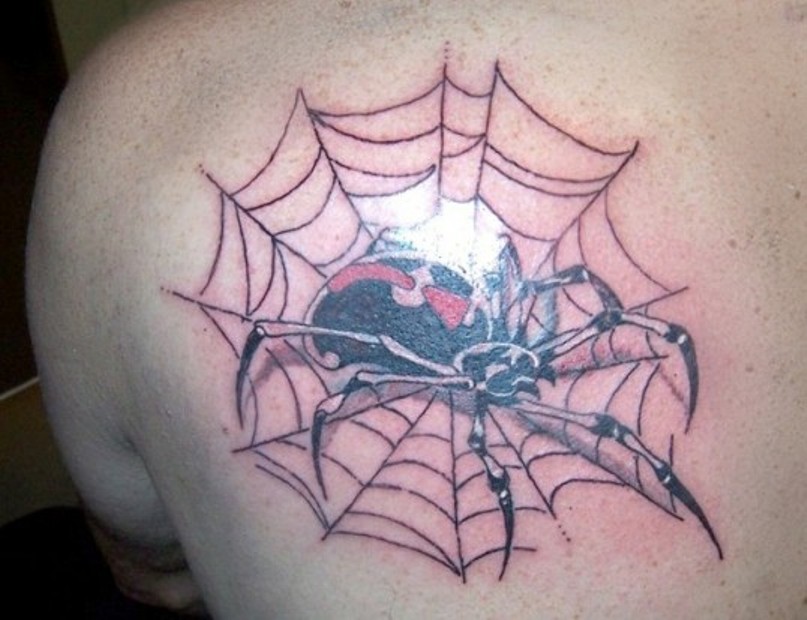 паук в паутине на плече
