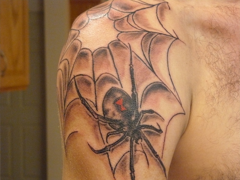 паук с паутиной на плече