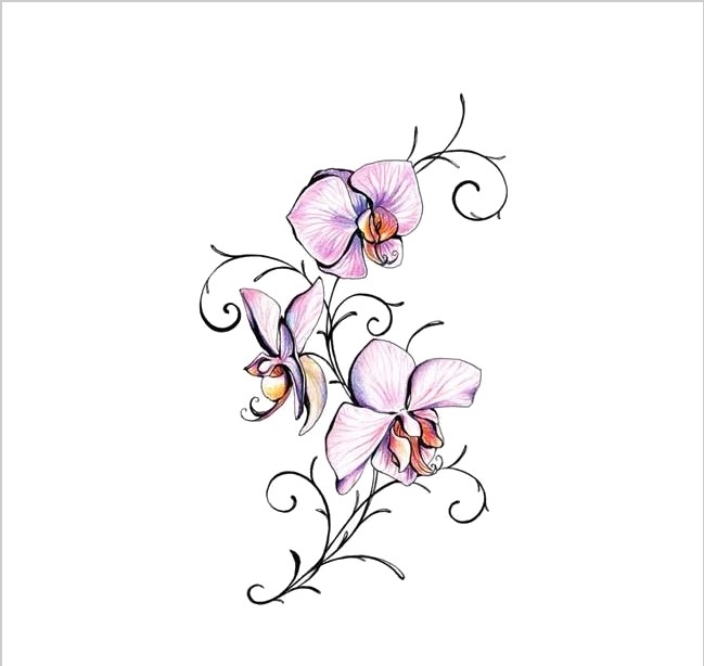 Изысканное тату орхидея: 70 фото-идей, эскизы, значение