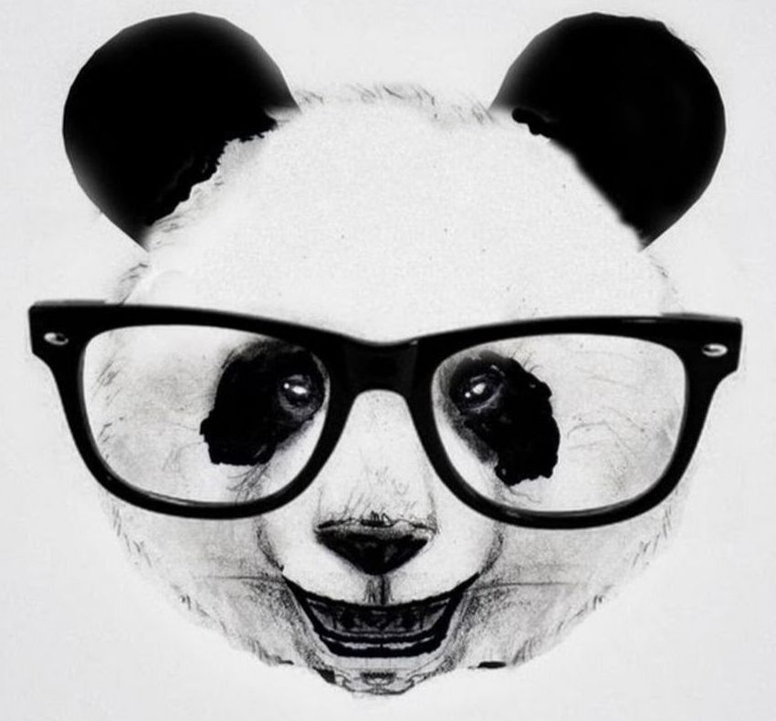 Тату панда: фото лучших эскизов, значение для девушек и мужчин
