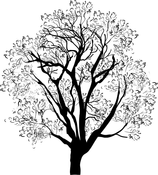 Тату дерево: лучшие варианты на фото, значение, эскизы