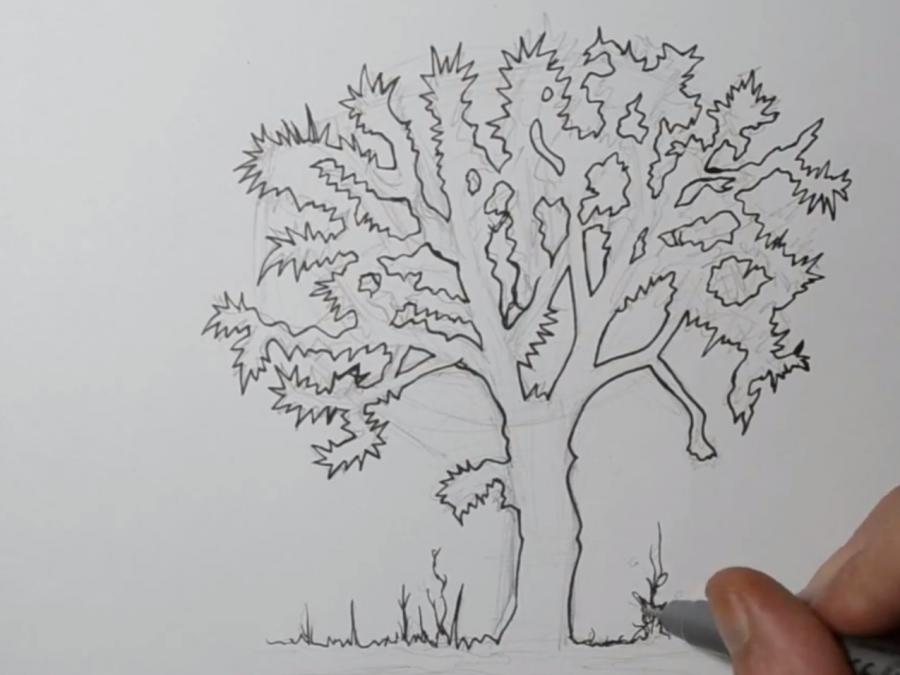 Тату дерево: лучшие варианты на фото, значение, эскизы