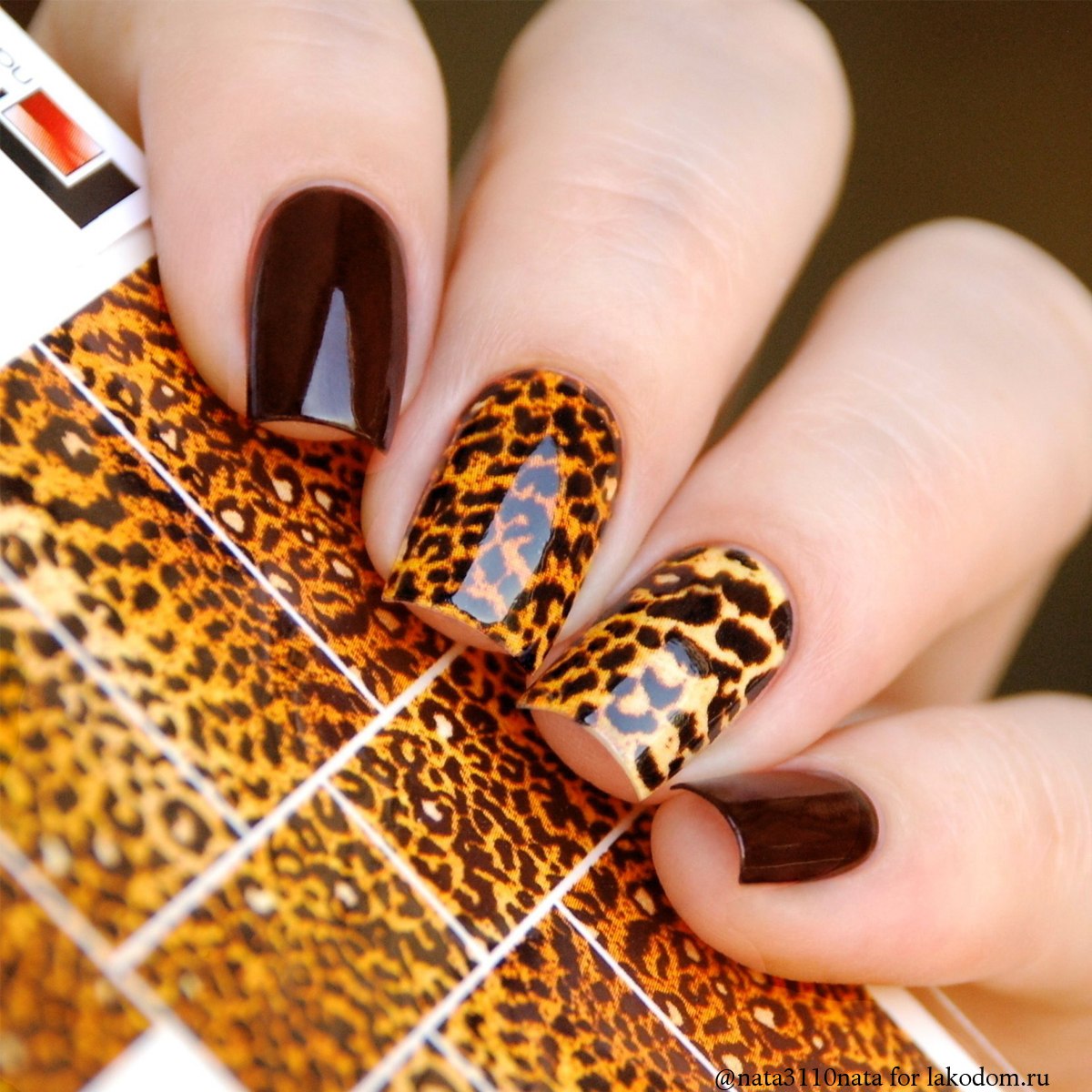 Тигровые ногти дизайн. Леопардовый маникюр. Леопардовые ногти. Маникюр с леопардовым принтом. Ногти с тигровым принтом.