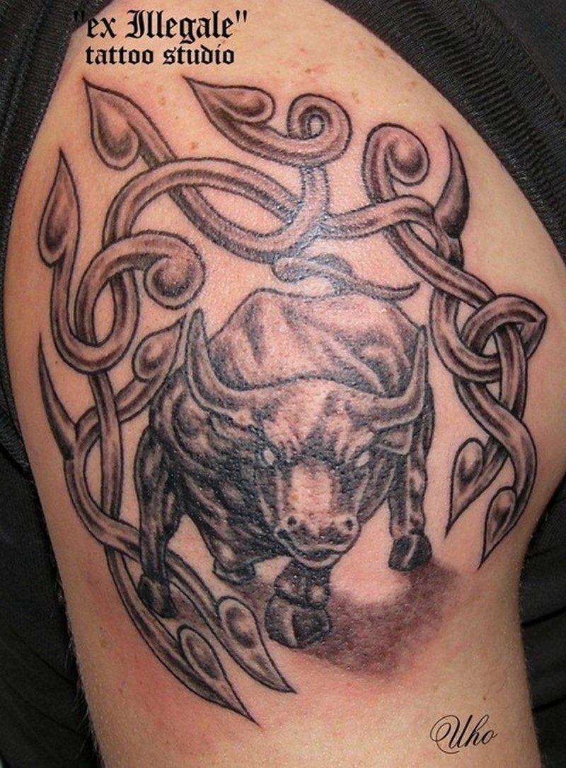 Бык кельтских татуировок